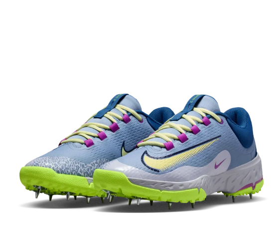 Nike Domain 3 Low 2